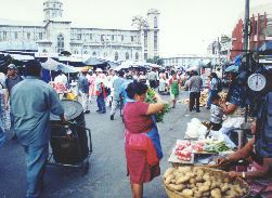 Vendors