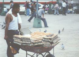 Street vendor