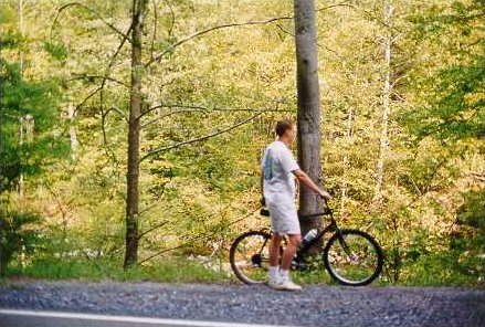 Much of the creek can be seen from a bicycle.