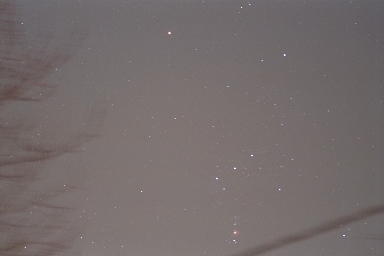 Orion