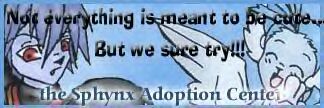 The Sphynx Adoption Center*To kawaii and awesome!!*dies*XD*