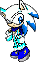 Sonicpaws the Hedgehog