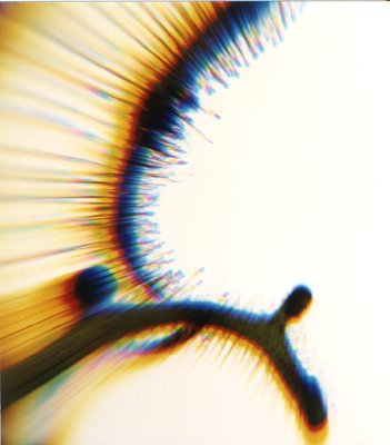 Chromate.jpg