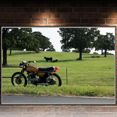 view art
