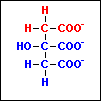 ciclo de Krebs