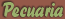 Pecuaria