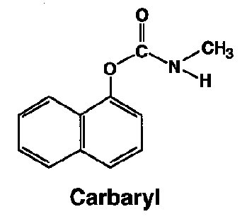 car.gif (2306 bytes)