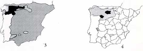 m4.jpg (12364 bytes)