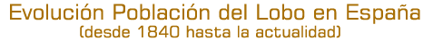 m6.gif (10103 bytes)
