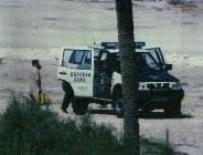 pajarit2.jpg (6582 bytes)