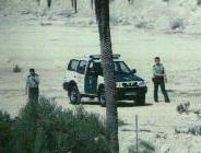 pajarit3.jpg (6564 bytes)