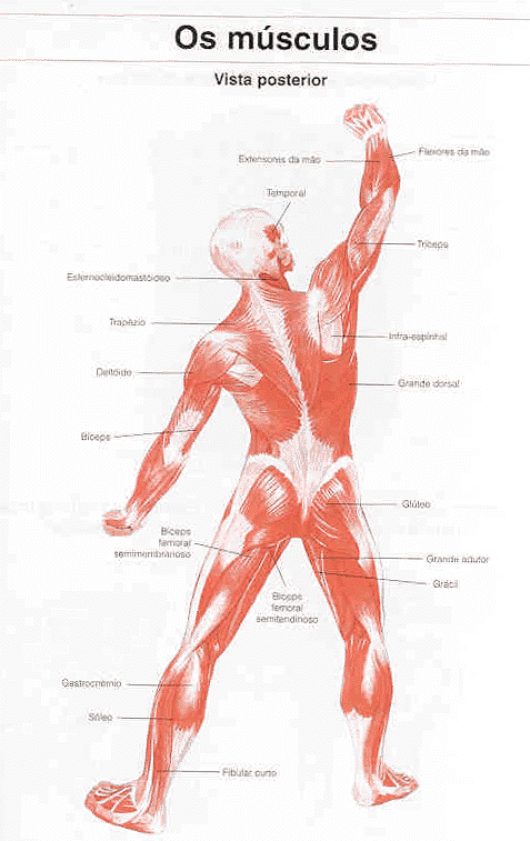 curio2.gif (90303 bytes)