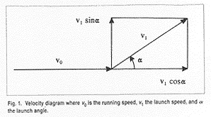 graf2.gif (7921 bytes)