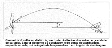 graf7.gif (9069 bytes)