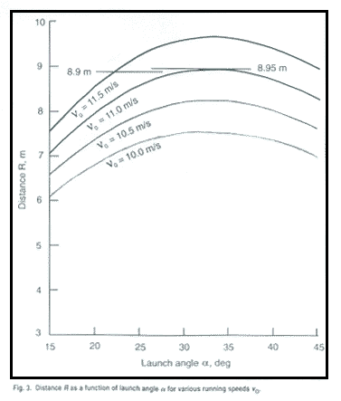 grafico1.gif (9031 bytes)