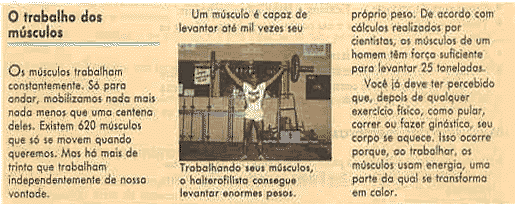musc4.gif (39573 bytes)