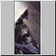 batart09.jpg