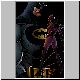 batcat.gif
