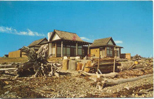 BirchBayVillagebeachfrontStewarthomewithdriftwoodinfront.jpg