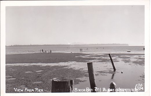 Ellis6204ViewFromPierBirchBay.jpg