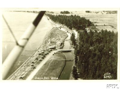 Ellis6247BirchBayWash.jpg