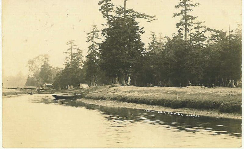 TerrileCreekBirchBayAHAllen.jpg