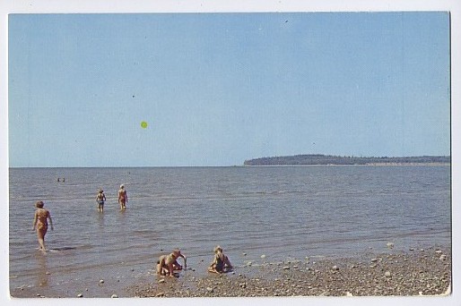 TriangleResortBirchBayBlaineWash.jpg