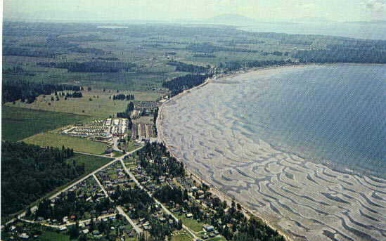 aerial2.jpg