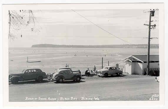 ellis6221BeachAtShoreAcresBirchBayBlainWn.jpg