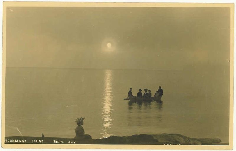 moonlightSceneBirchBay1910.jpg