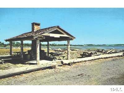 picnicAreaBBV-1977.jpg