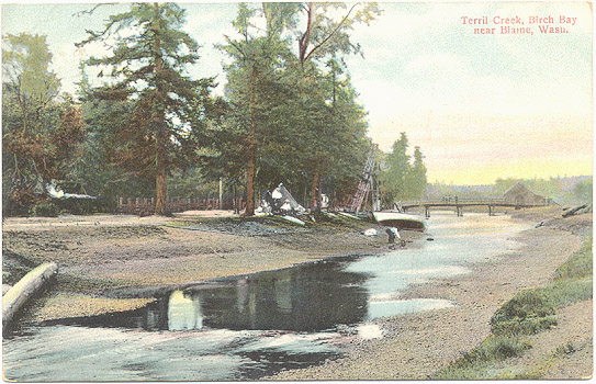 terrilCreek.jpg