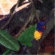 Click for Home