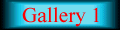 Return to Gallery 1