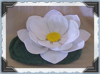 close-up of lilypad