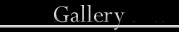 Blackdawn's Dragoons Gallery