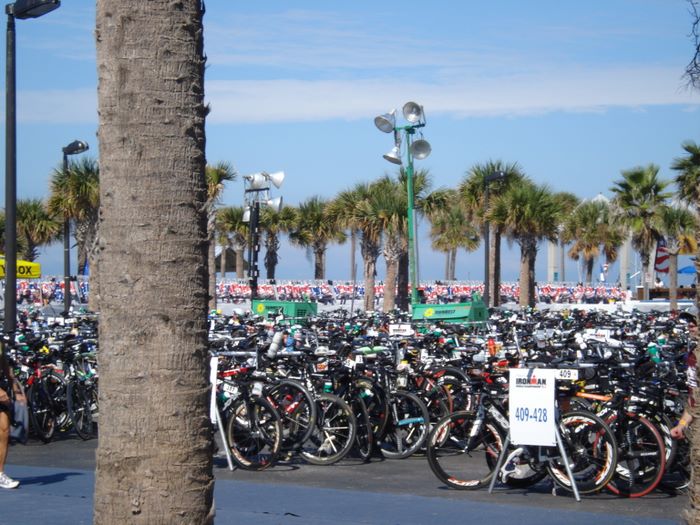 florida_240.jpg