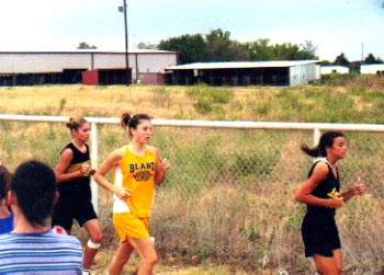 Terra Collinsworth