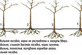 гдз по математике 6 класс козлов смотреть