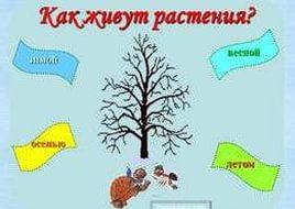 подробная инструкция по установке windows 7