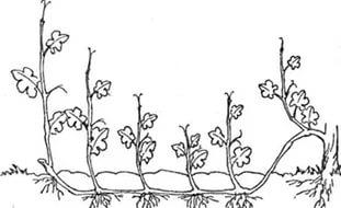 гдз текущий итоговый контроль по химии 9 класс