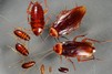 нормы расхода материалов в строительстве справочник 57