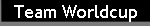 Team Worldcup