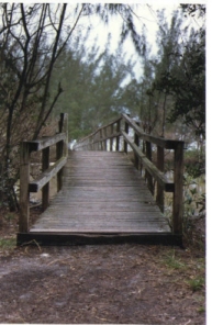 BlindPass18.jpg - 48437 Bytes