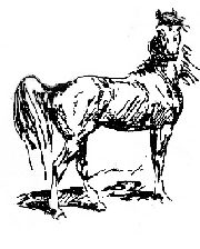 Block horse drawing