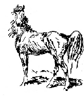 Block horse drawing