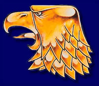 Human Logo