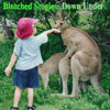 Down/Under