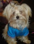 Angel 7 mos.