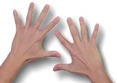 Frank's Hands
